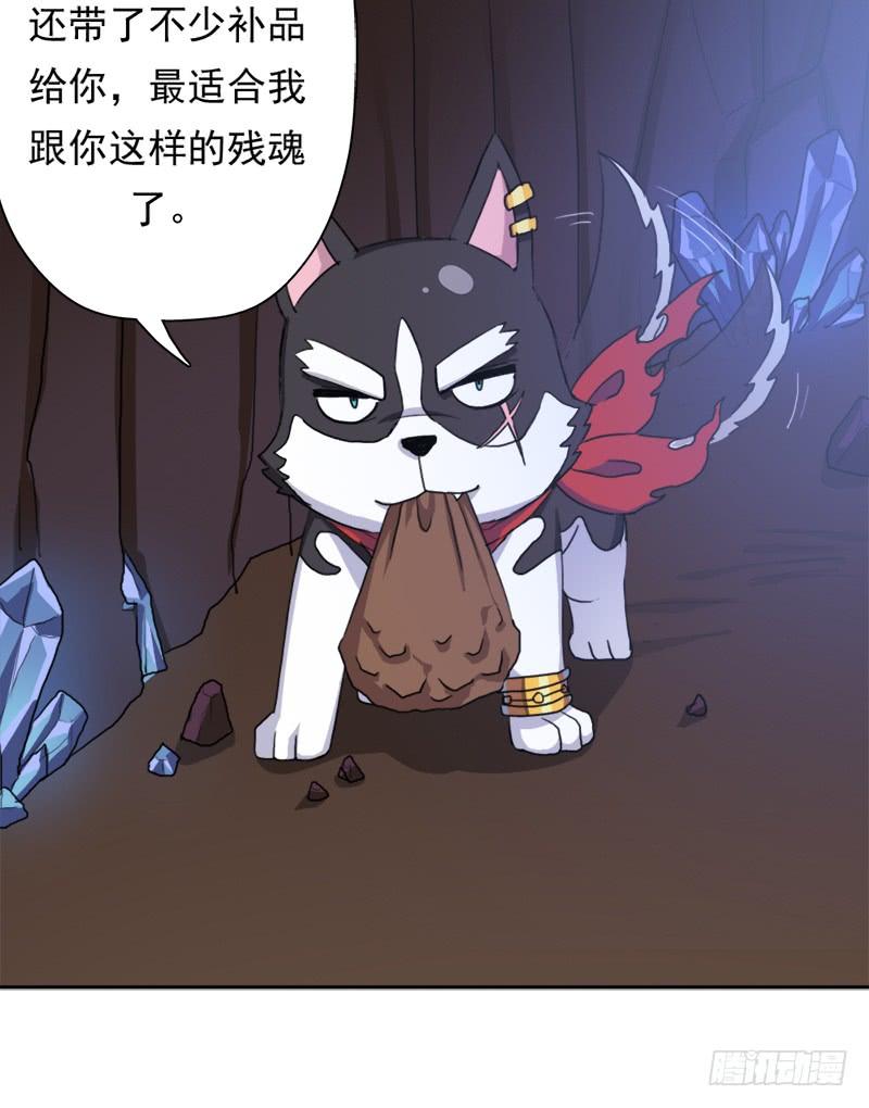 第53页