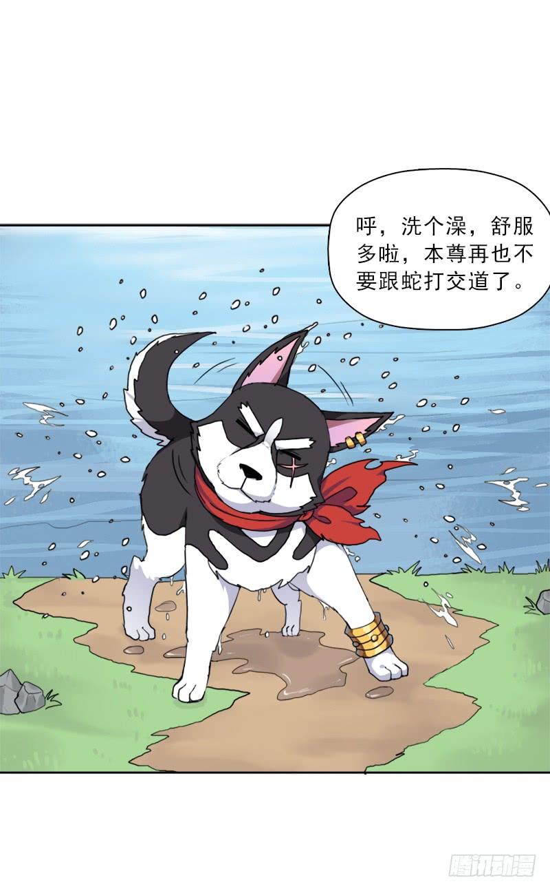 第35页