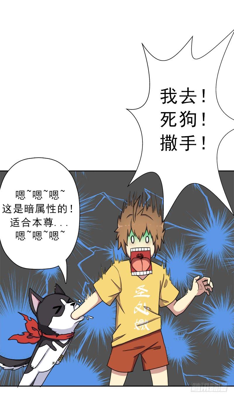 第58页