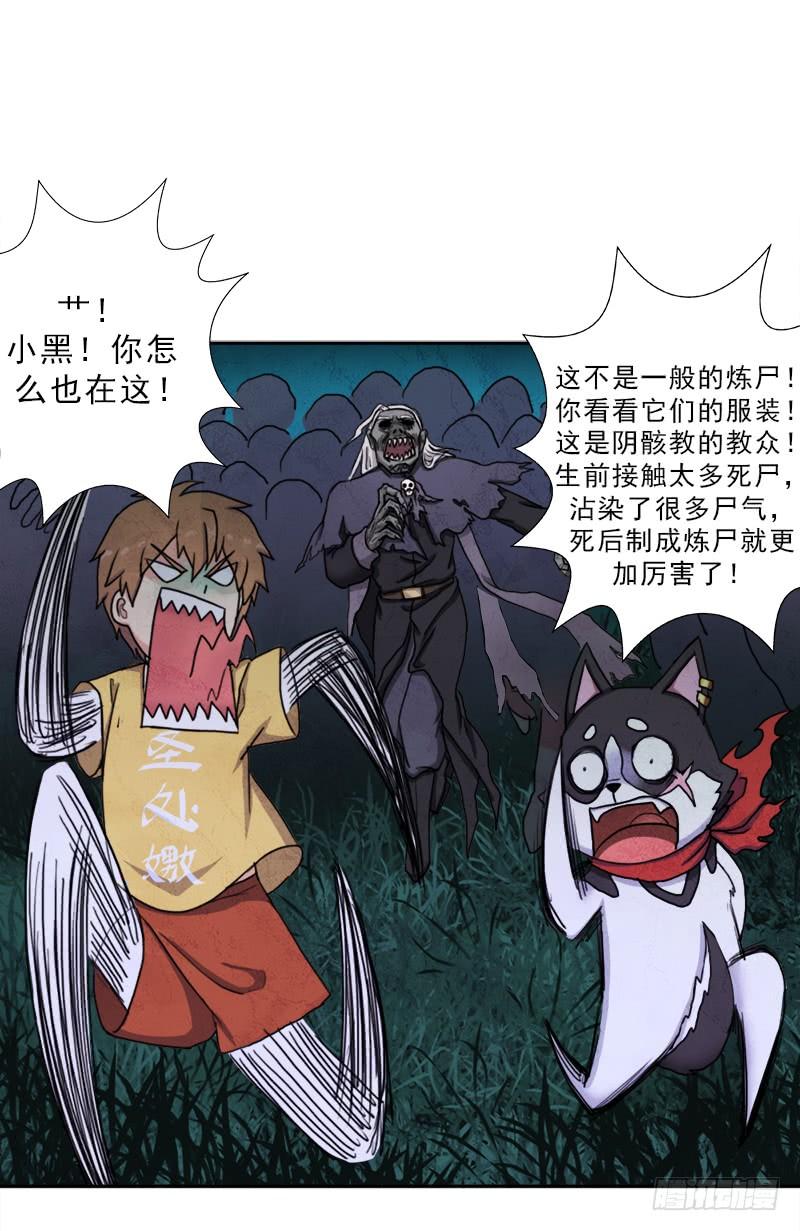 第44页
