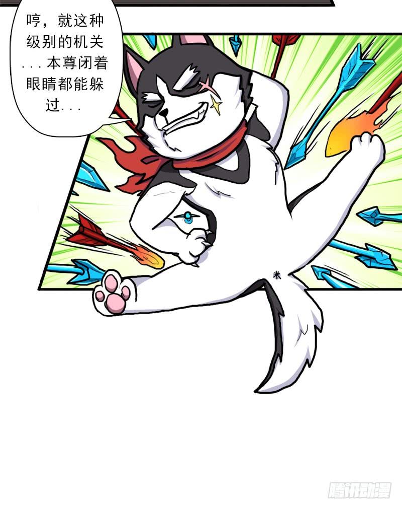 第35页
