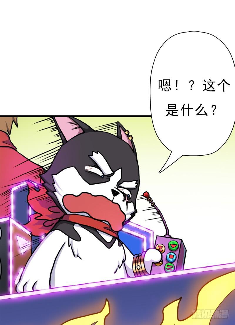 第46页