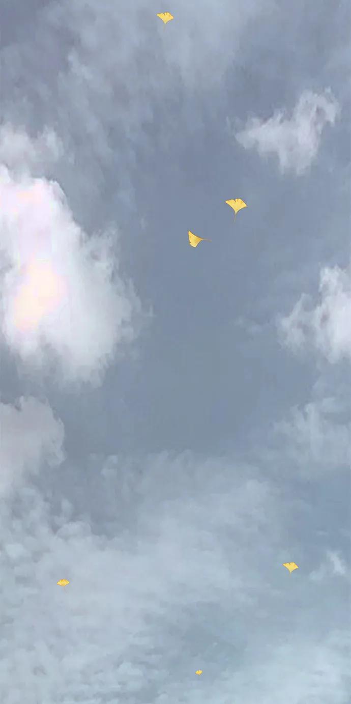 第170页