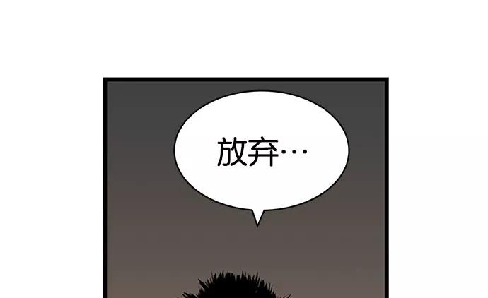 第223页