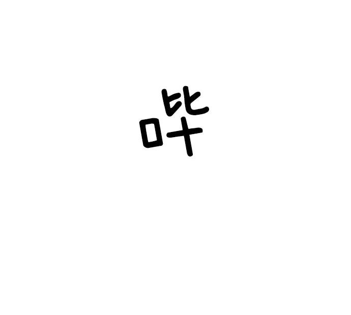 第242页