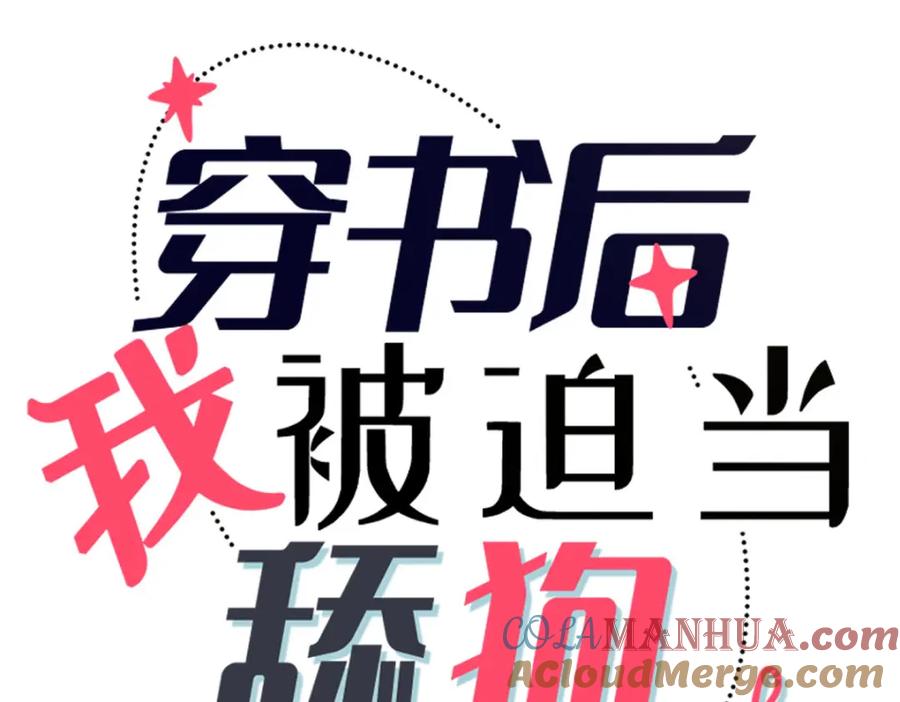 第113页