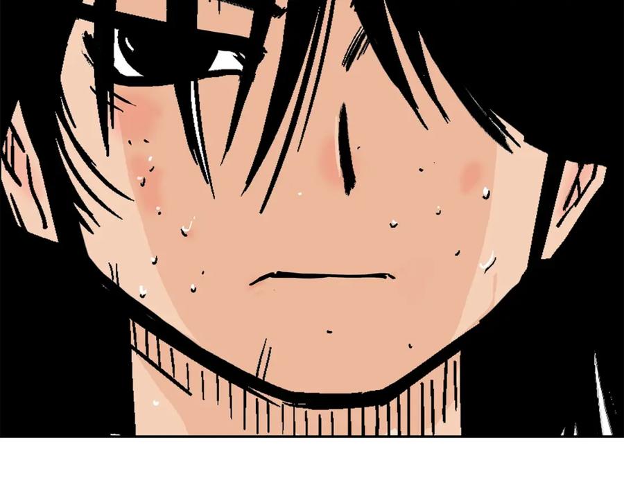 第231页