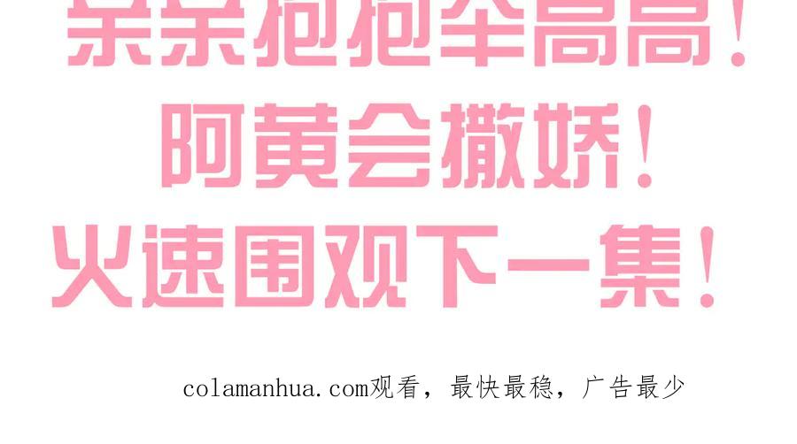 第204页