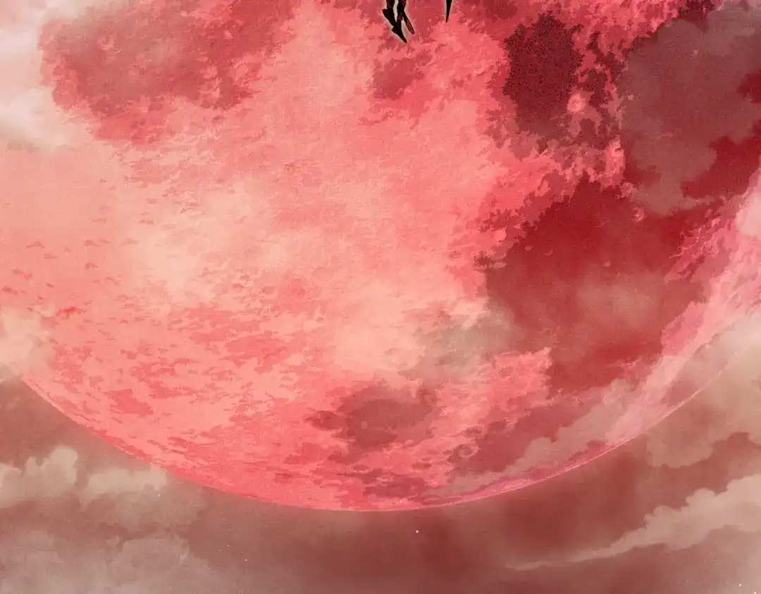 第144页
