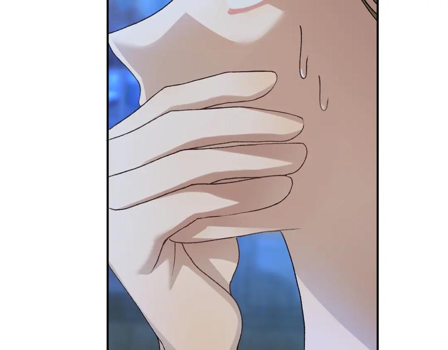 第238页