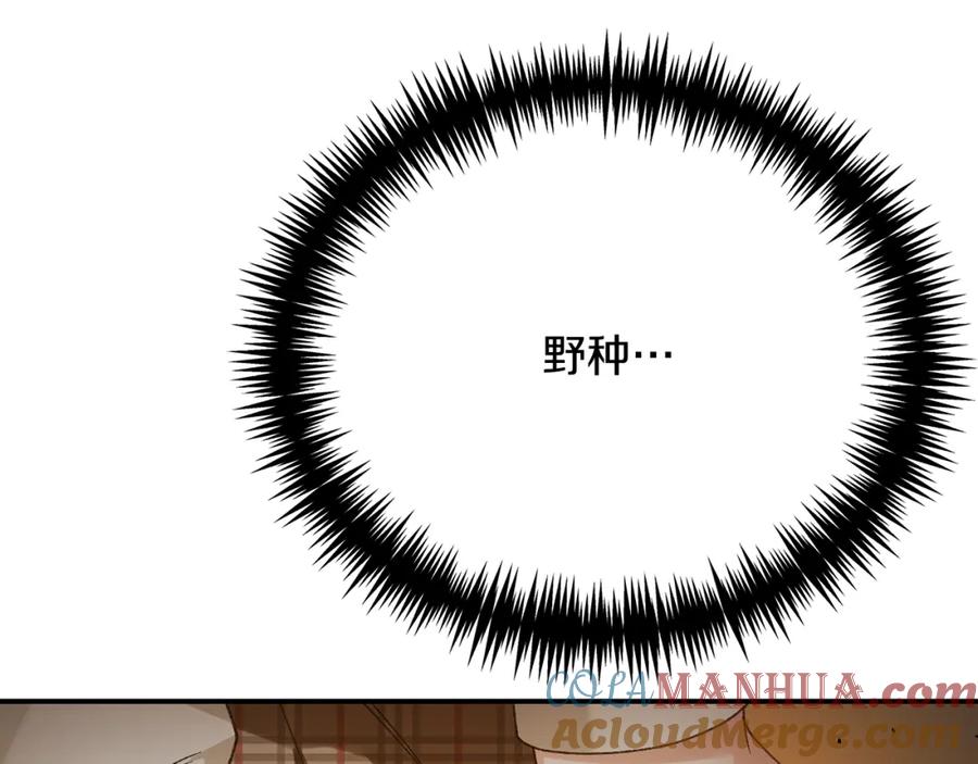 第233页