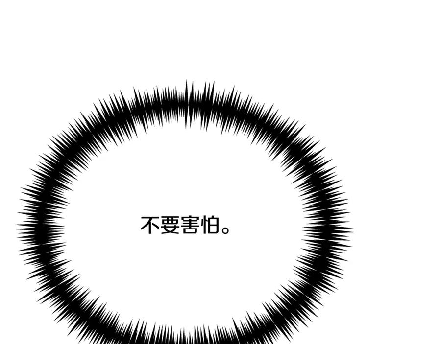 第258页