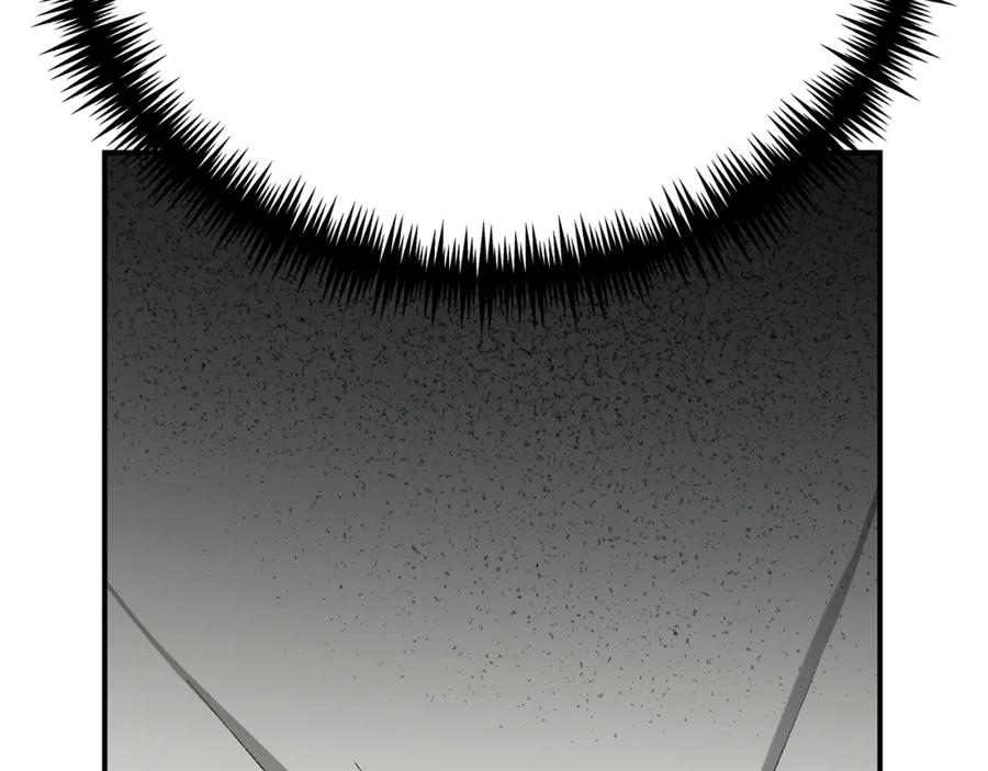 第242页