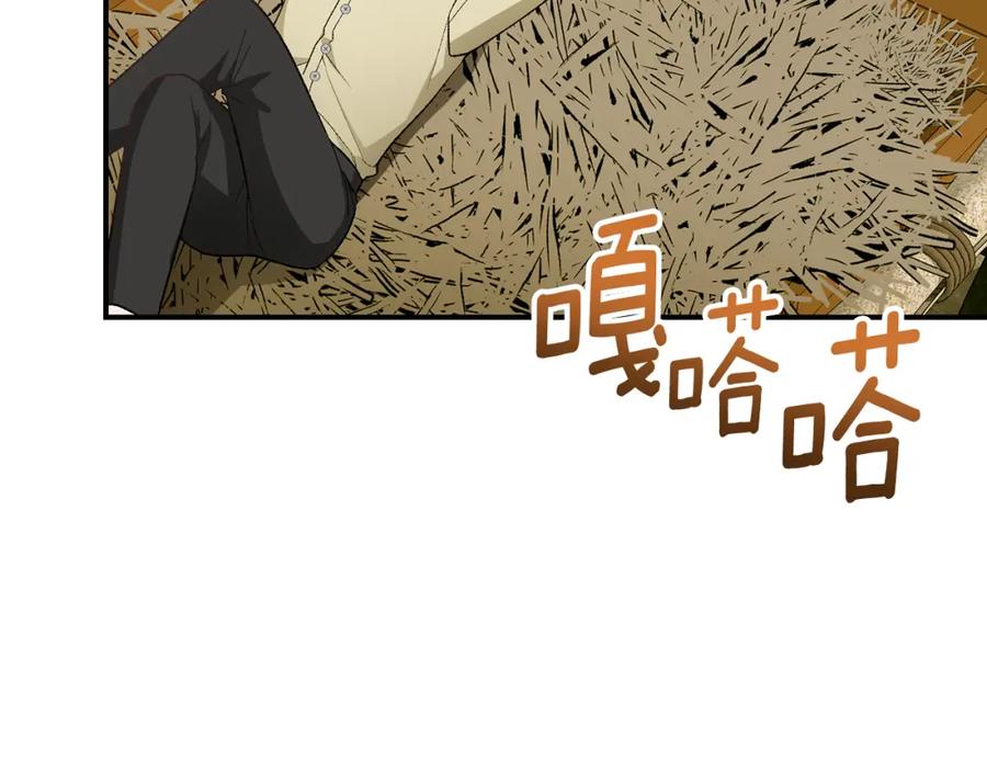 第194页