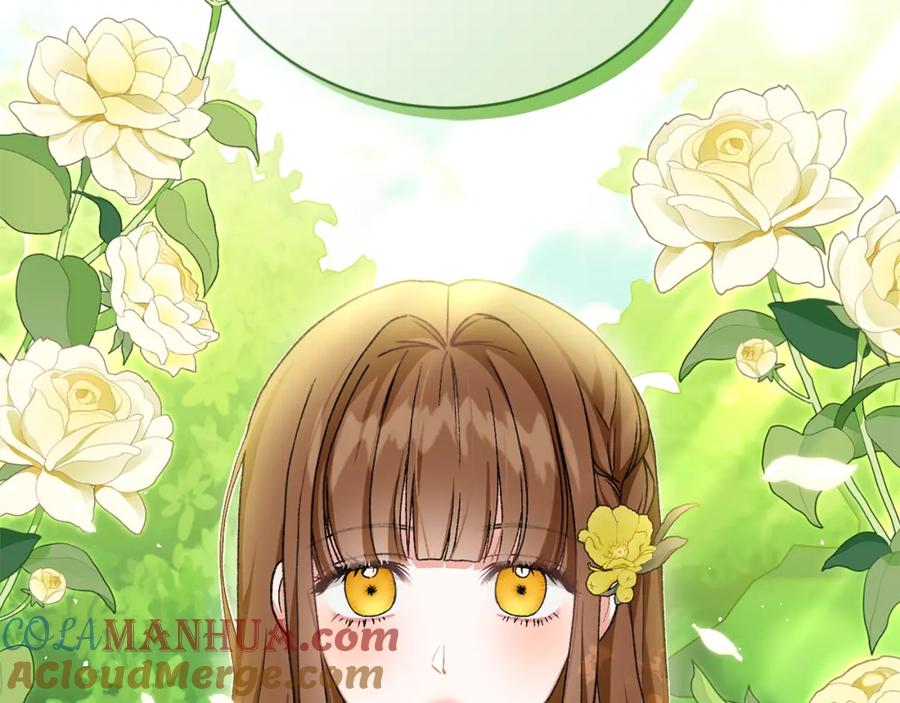 第253页
