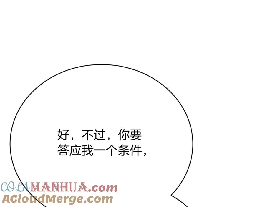 第217页