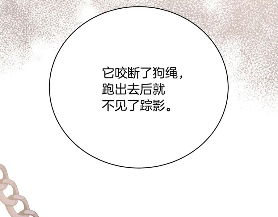 第219页