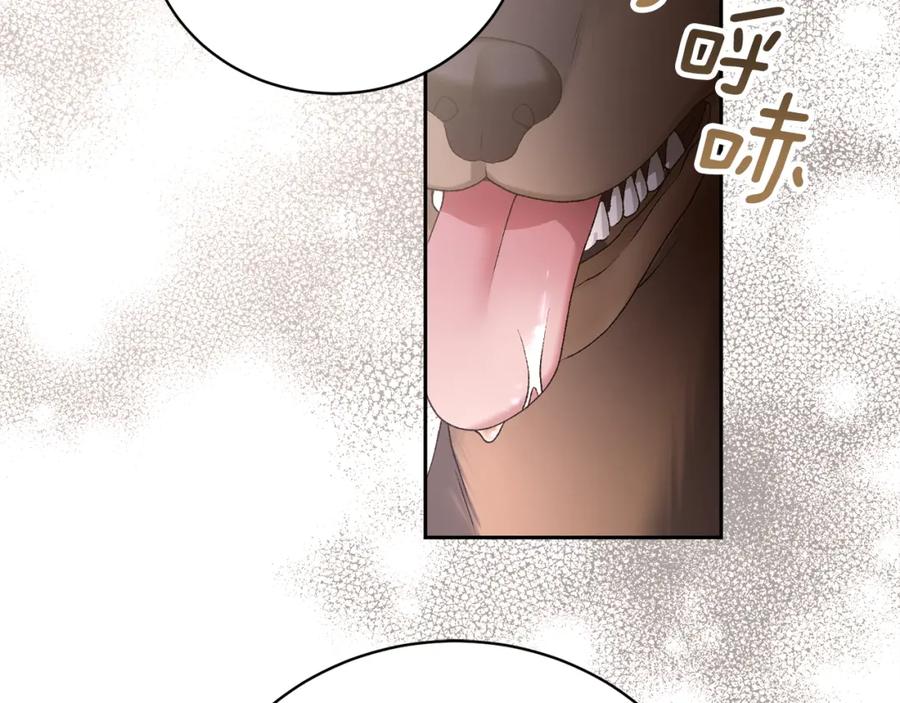 第222页