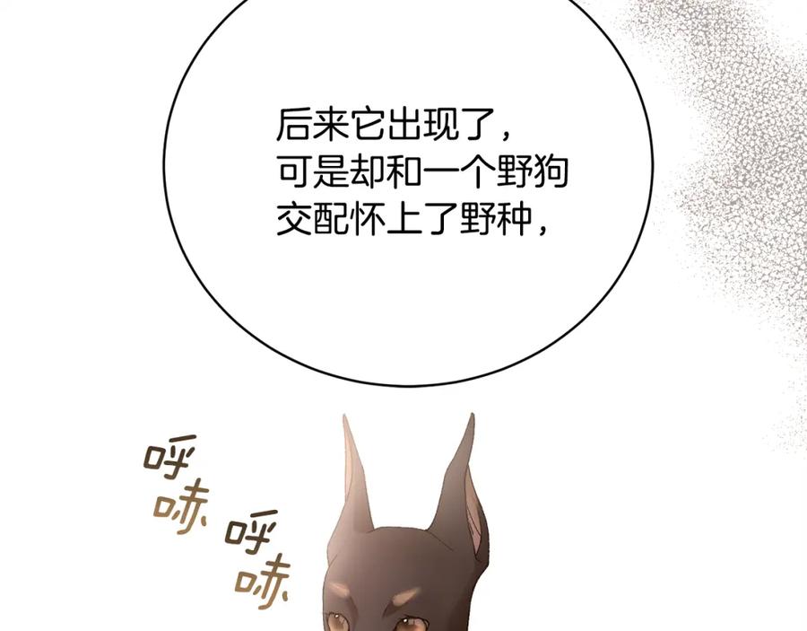 第223页