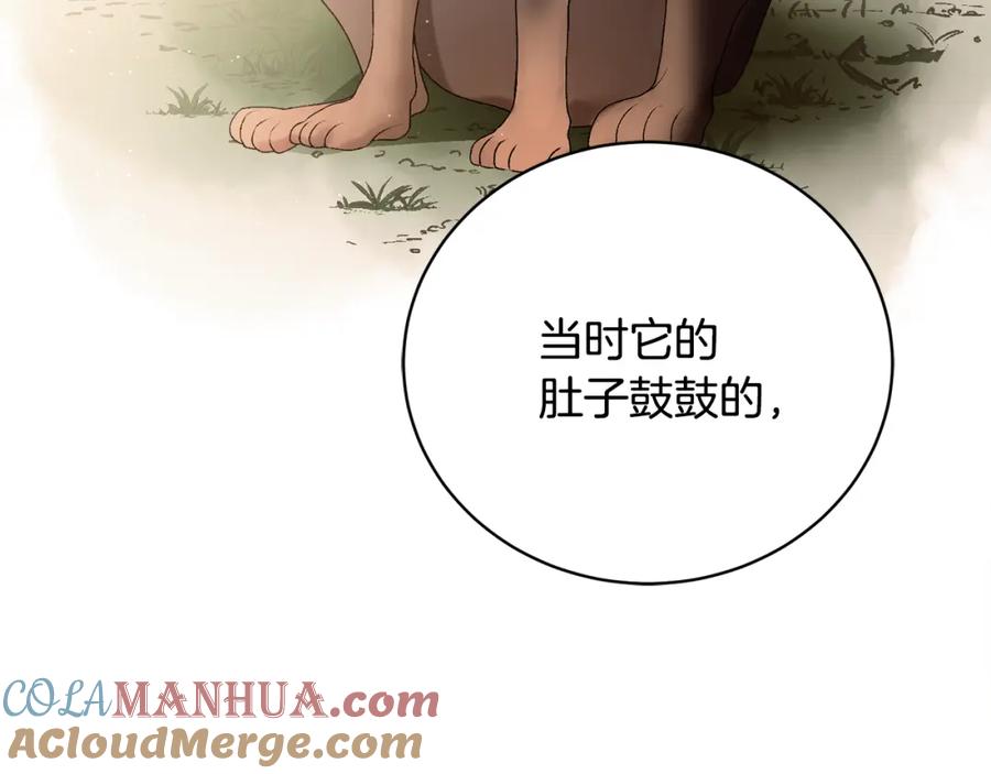 第225页