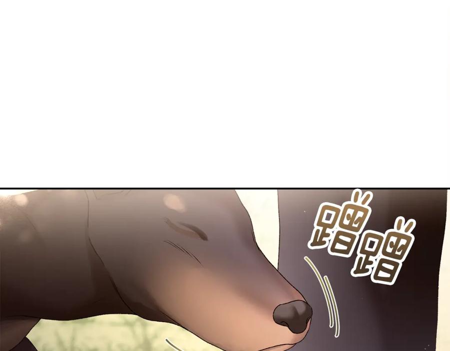 第226页