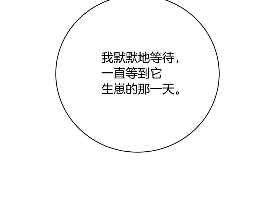 第235页