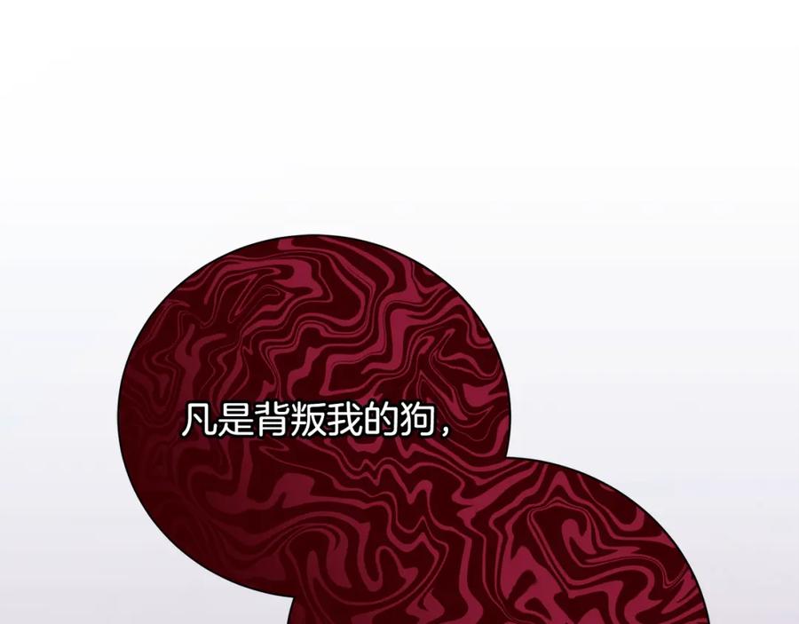 第250页