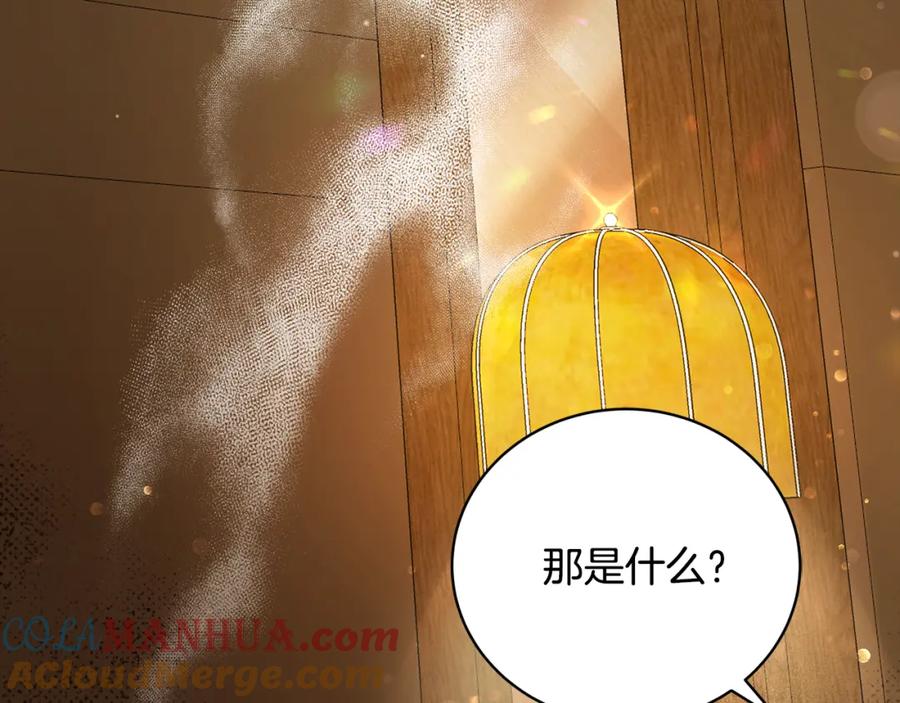 第225页