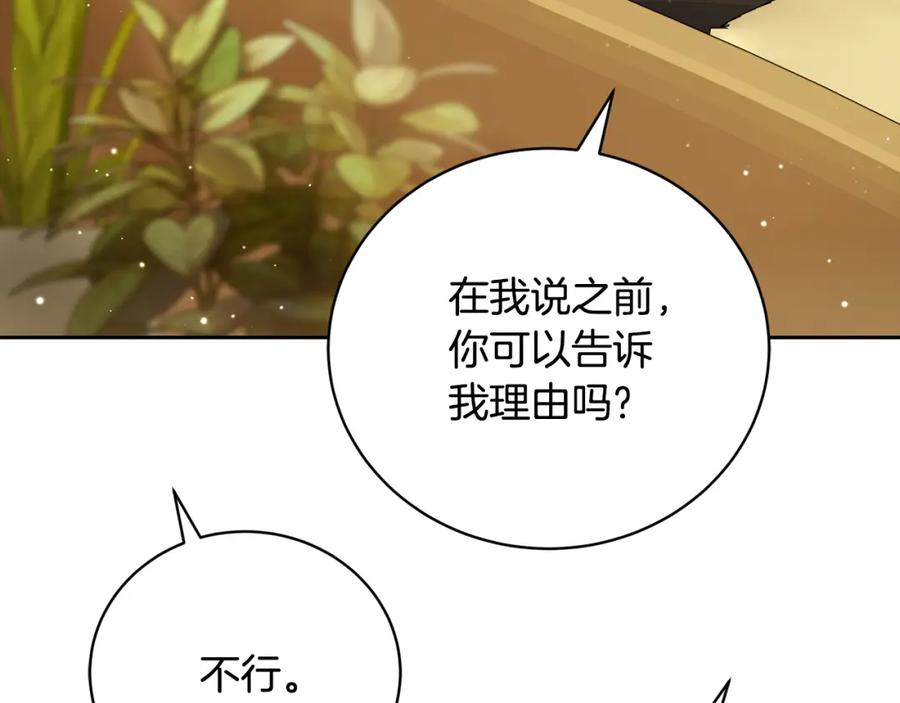 第242页