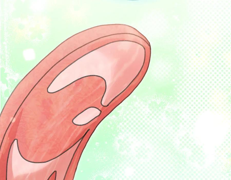 第164页