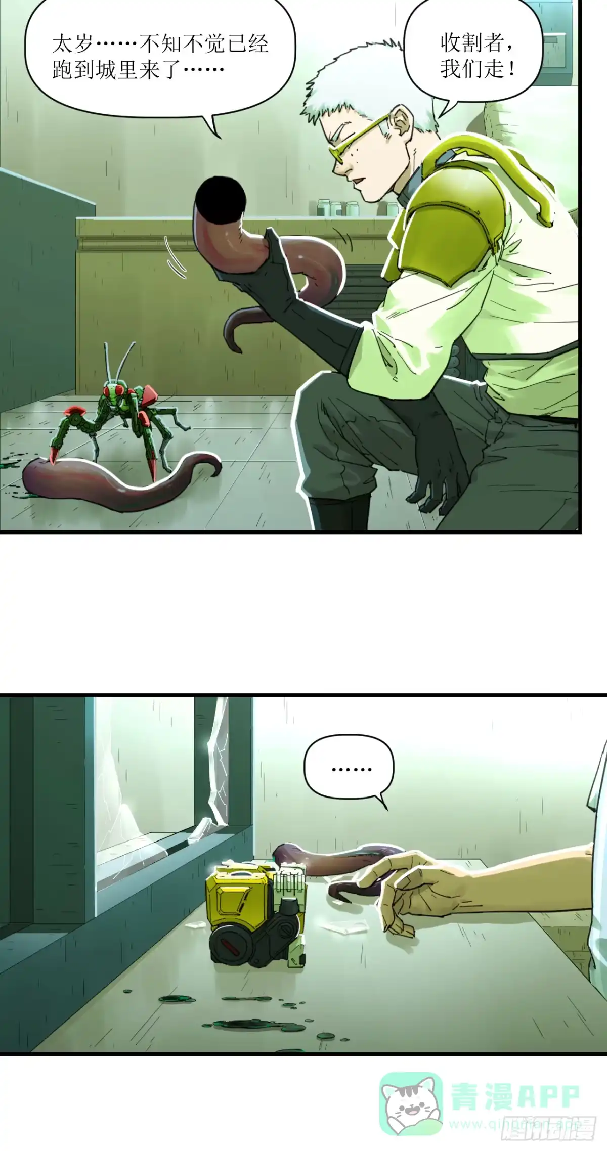 第51页