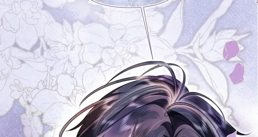 第528页