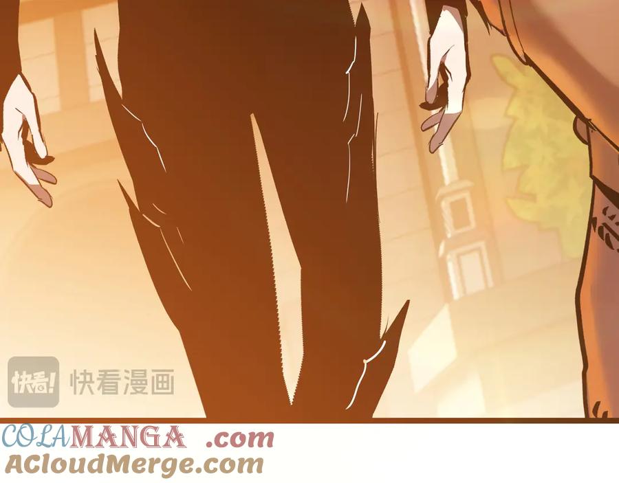 第213页
