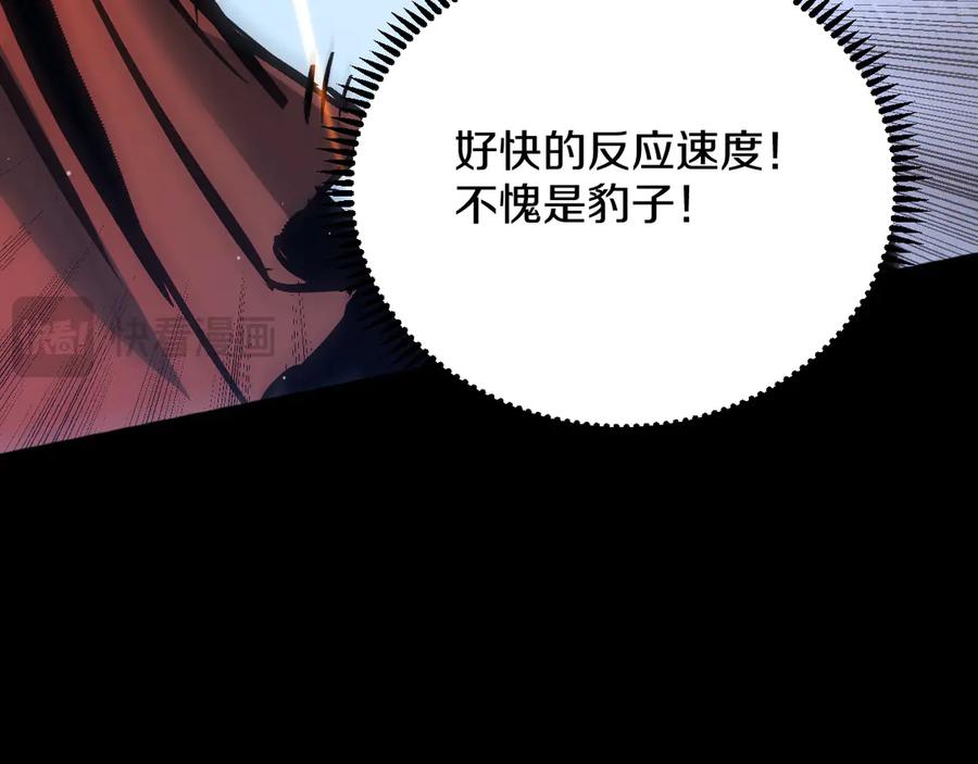 第231页