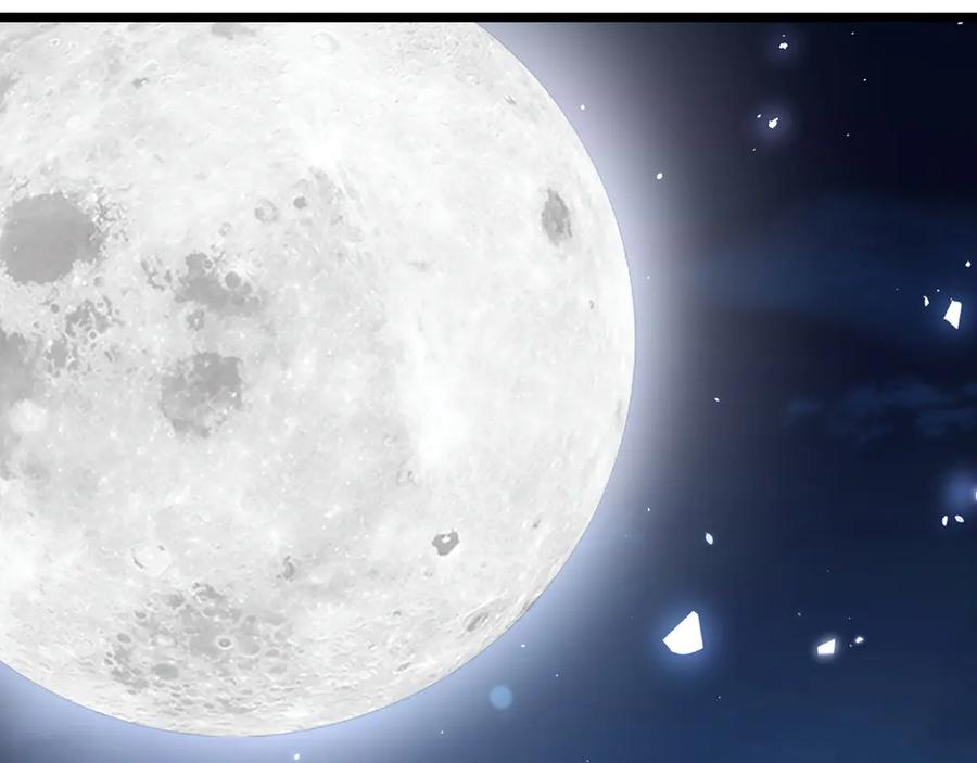 第255页