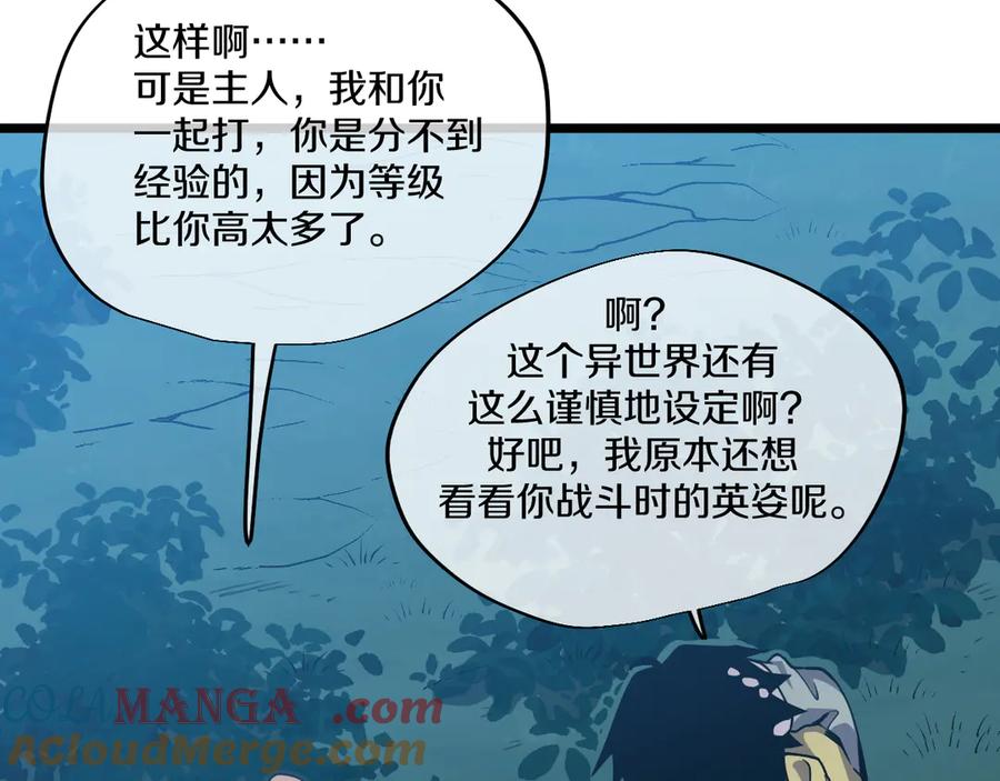 第241页