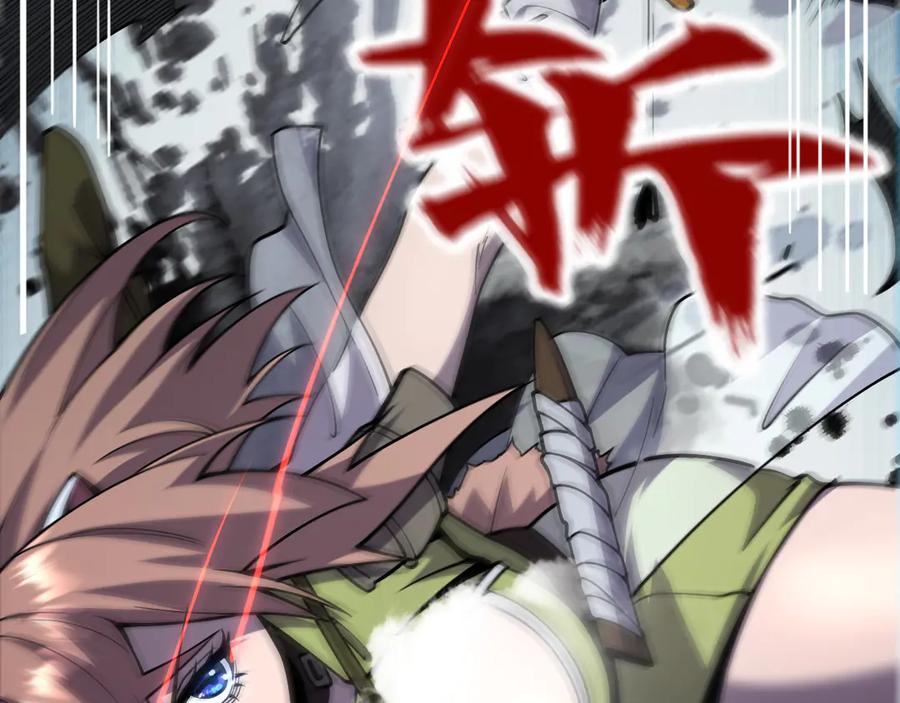 第255页