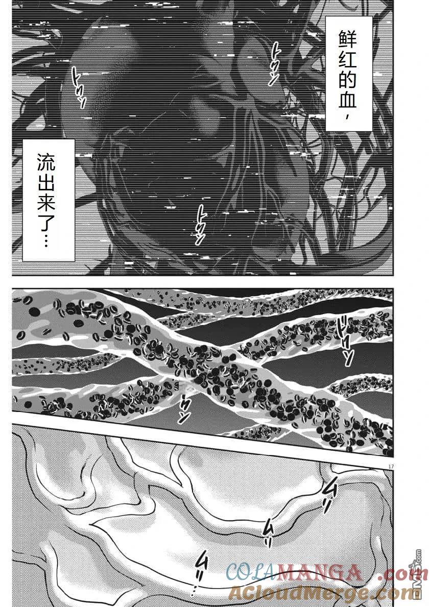 第17页