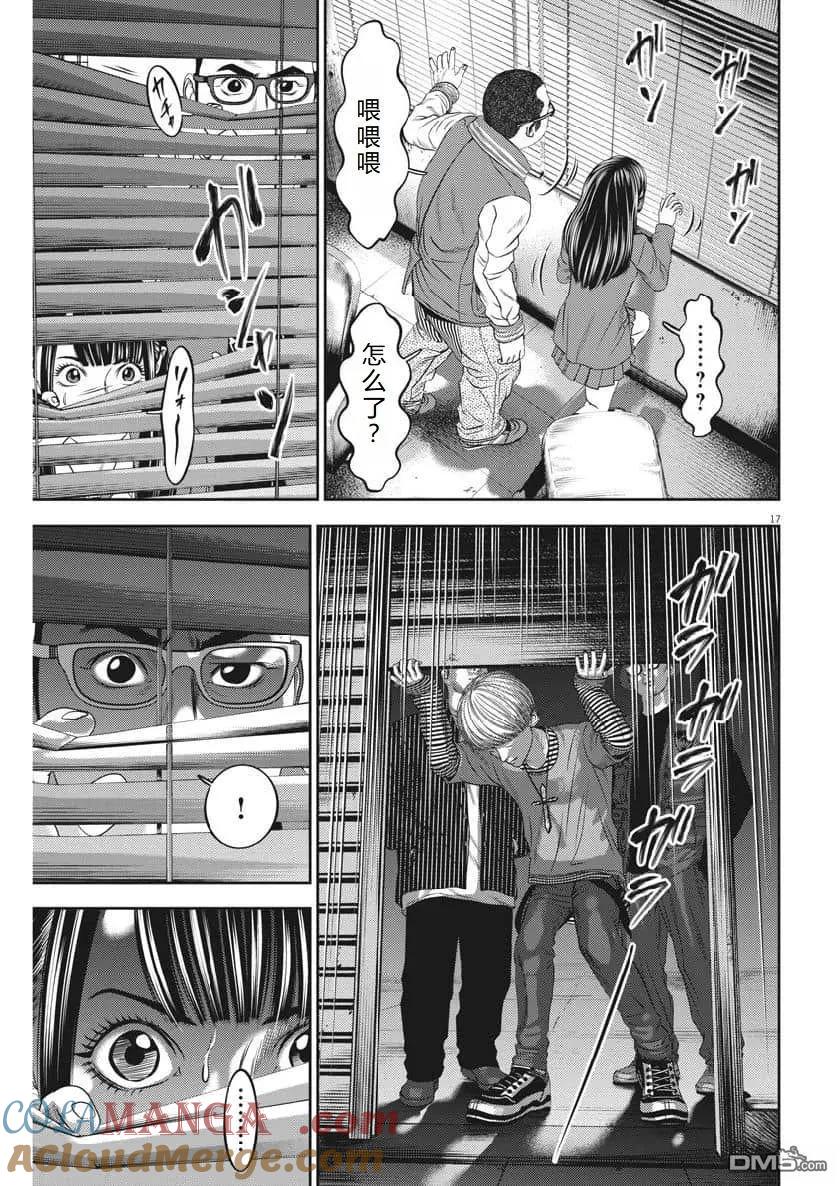 第17页