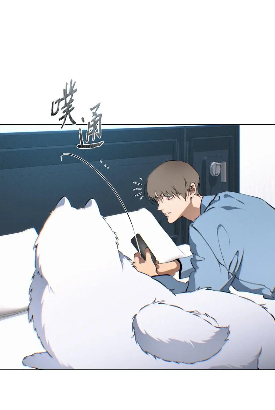 第47页
