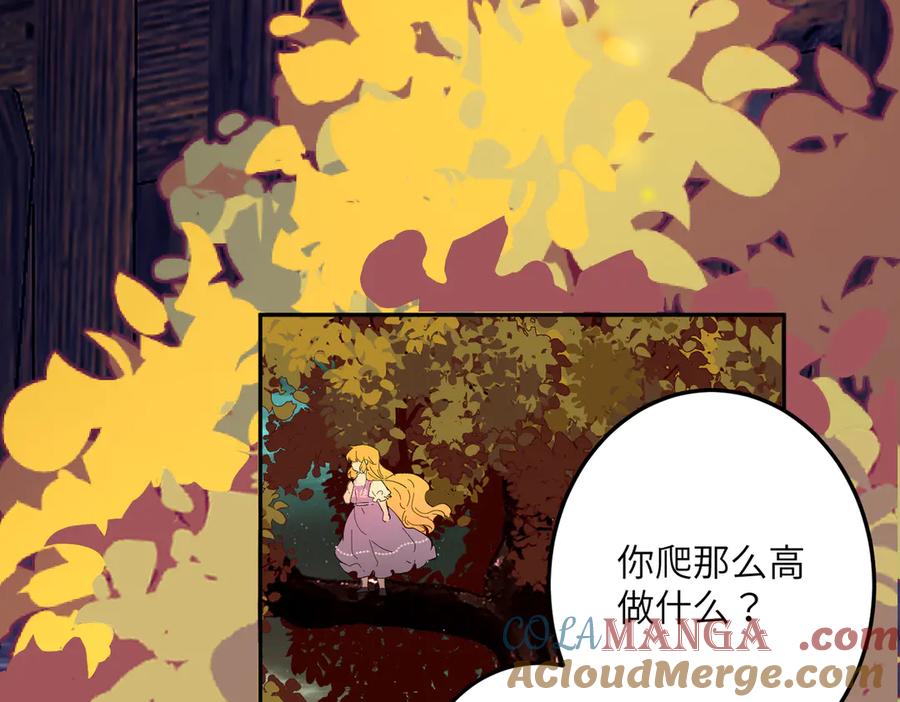 第253页