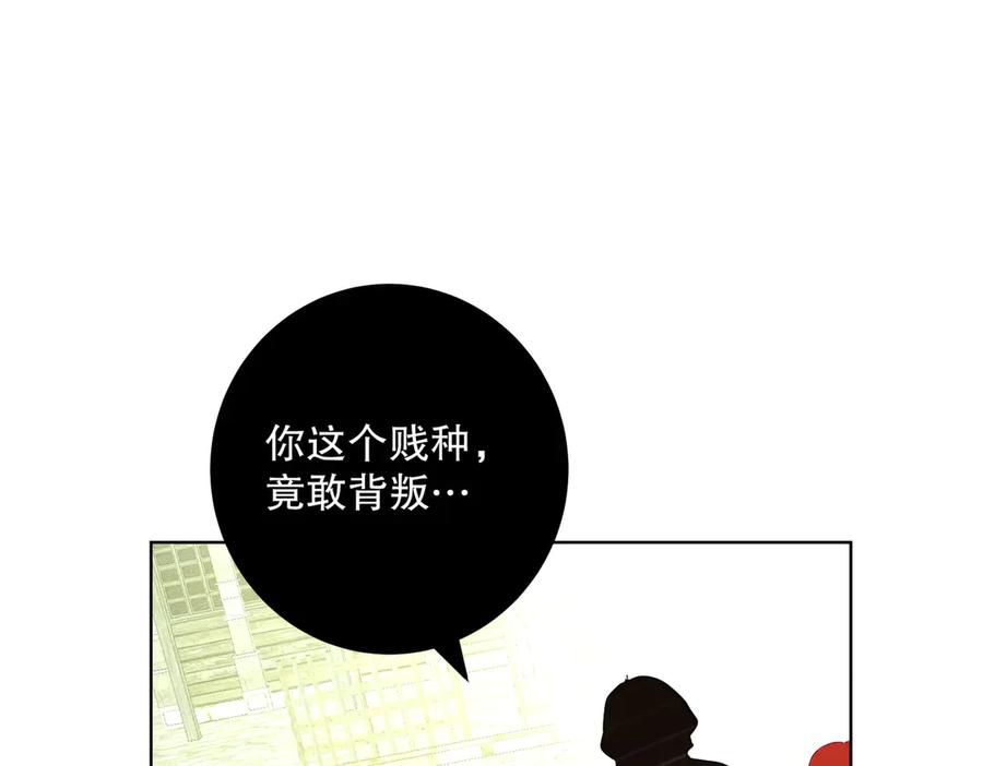 第242页