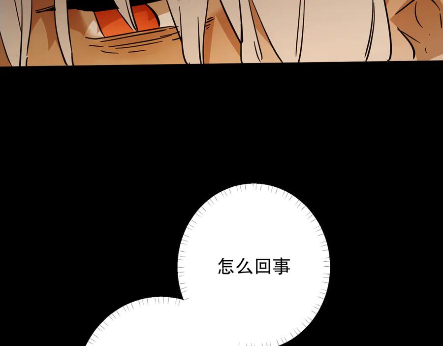 第203页