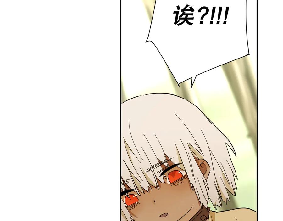 第210页