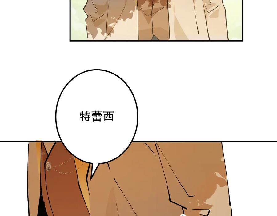 第223页