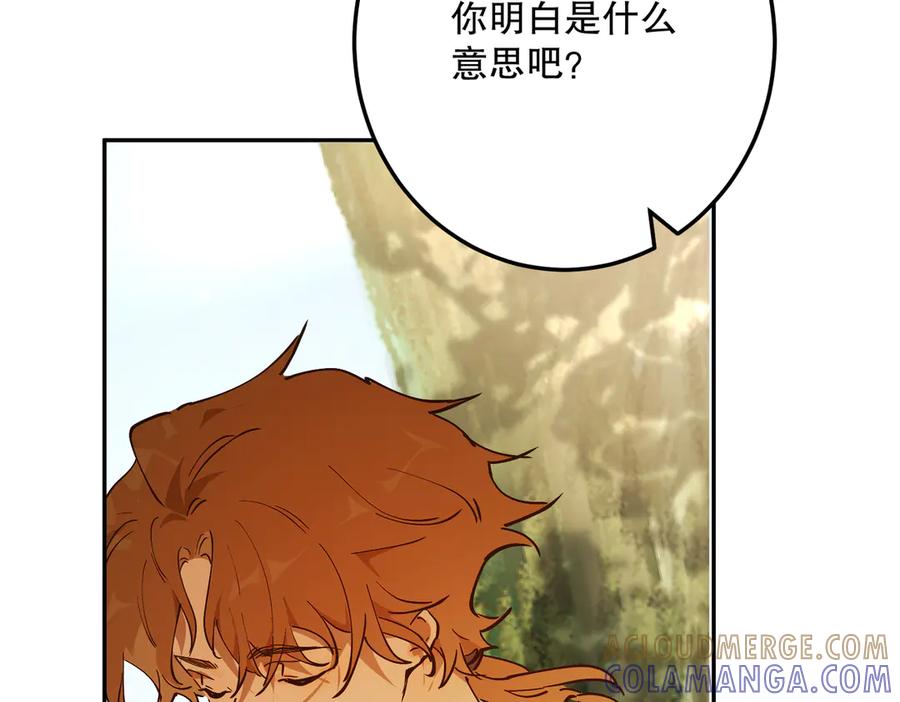 第241页