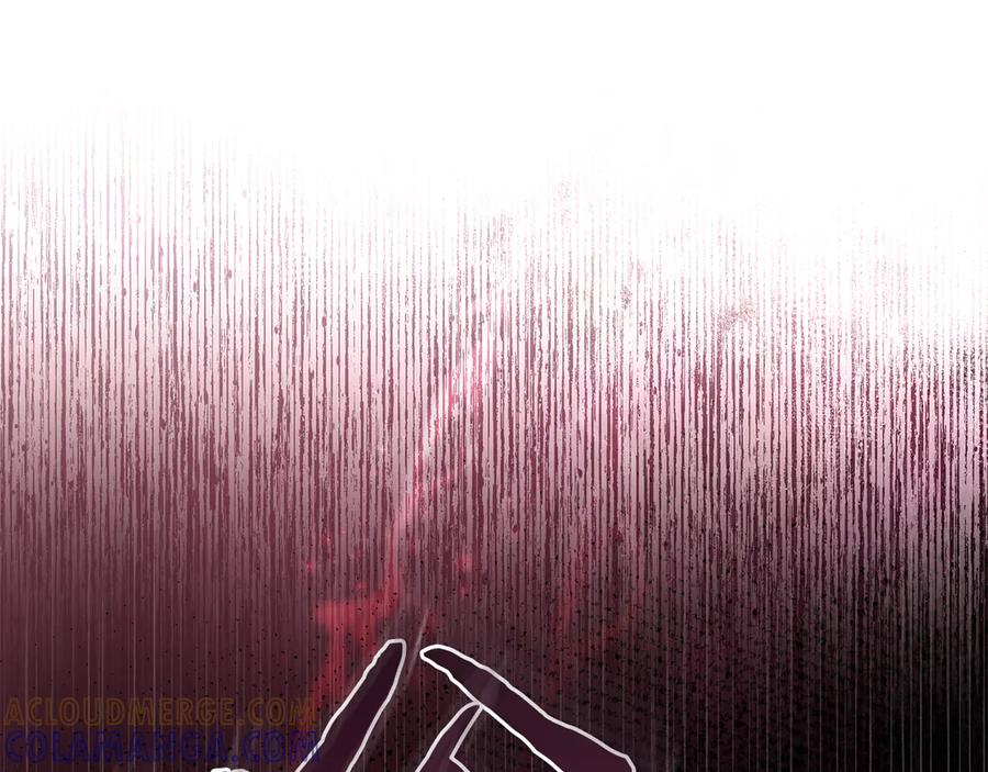 第245页
