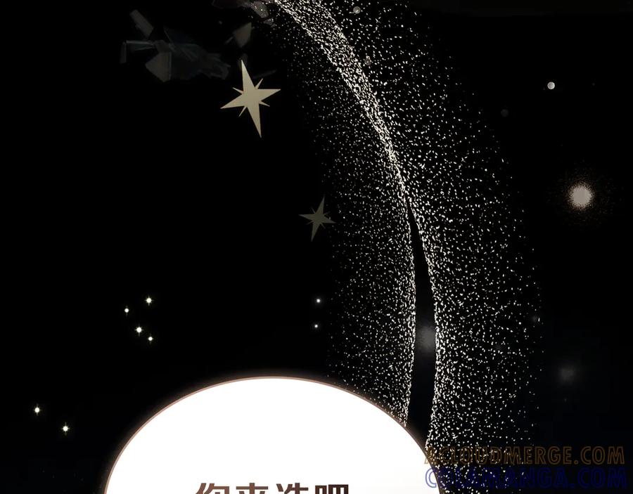 第217页