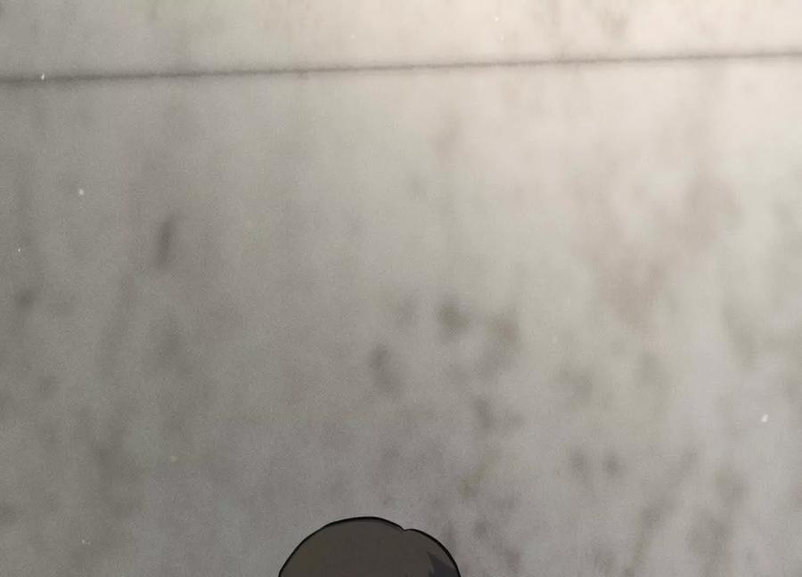 第258页