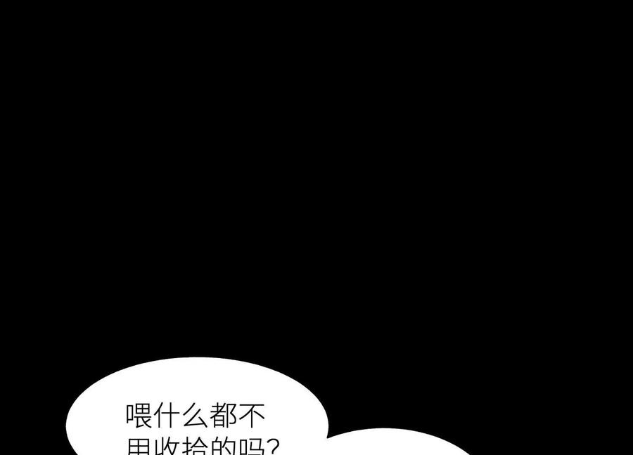 第223页